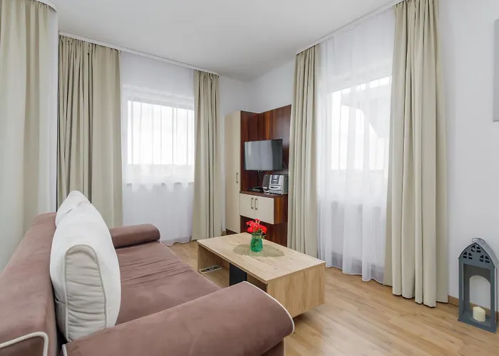 Atrium Practical Near The By Renters * サルビノボ